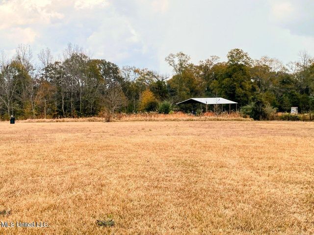 2364 Mcneill Steephollow Road, Poplarville, MS 39470