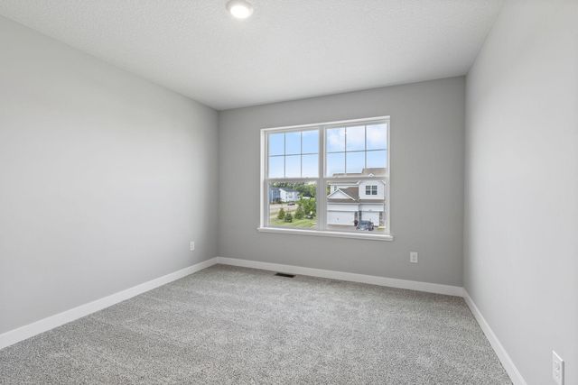 18203 Hideaway Trail, Lakeville, MN 55044