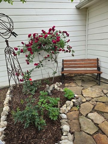 108 High Meadows Court, Decatur, TX 76234