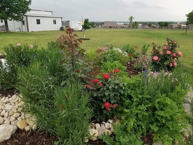 108 High Meadows Court, Decatur, TX 76234