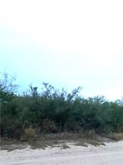 0 CR 205--22.22 acres(+/-), San Diego, TX 78384