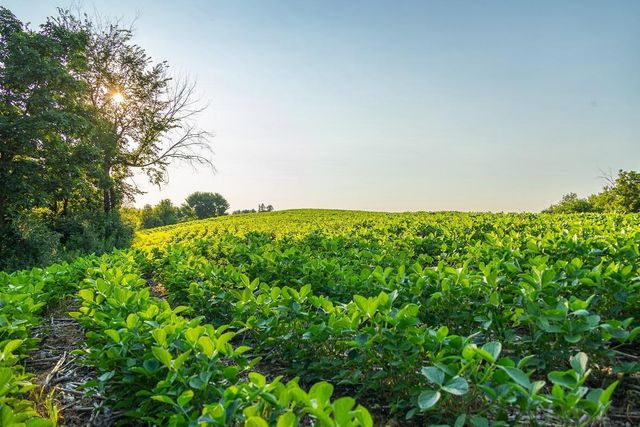 N34701 County Road S, Preston Twp, WI 54616