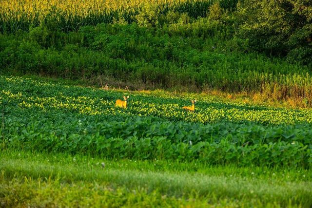 N34701 County Road S, Preston Twp, WI 54616