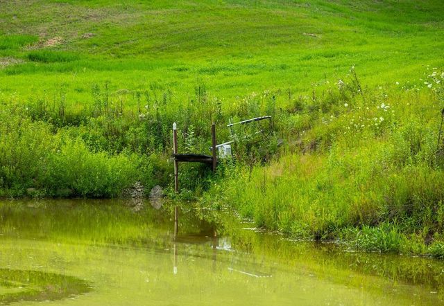 N34701 County Road S, Preston Twp, WI 54616