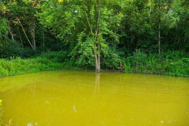 N34701 County Road S, Preston Twp, WI 54616