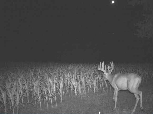 N34701 County Road S, Preston Twp, WI 54616