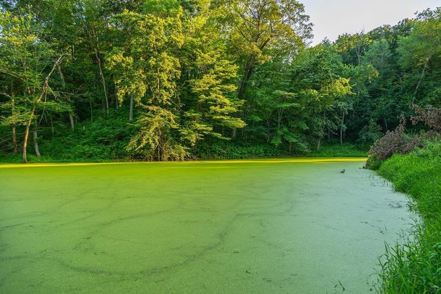 N34701 County Road S, Preston Twp, WI 54616