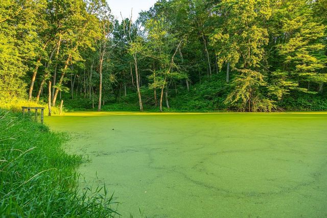 N34701 County Road S, Preston Twp, WI 54616