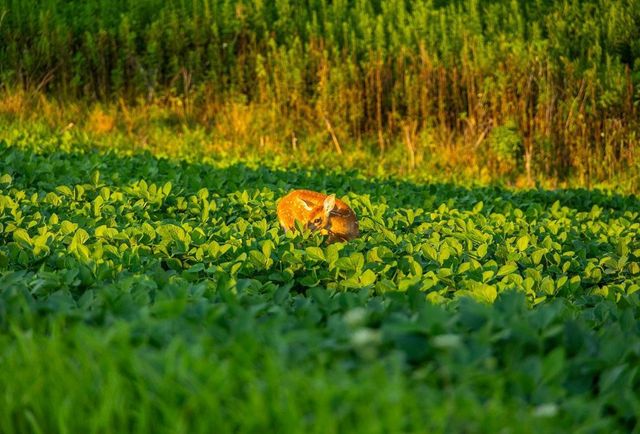 N34701 County Road S, Preston Twp, WI 54616