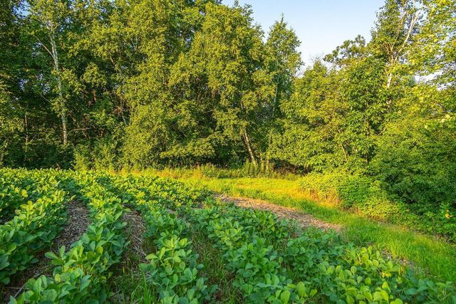 N34701 County Road S, Preston Twp, WI 54616