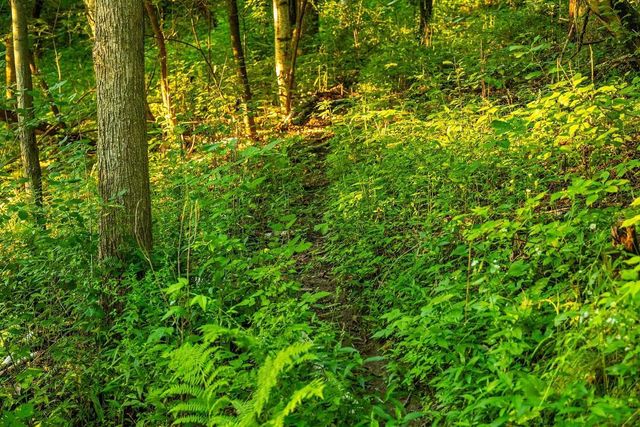 N34701 County Road S, Preston Twp, WI 54616