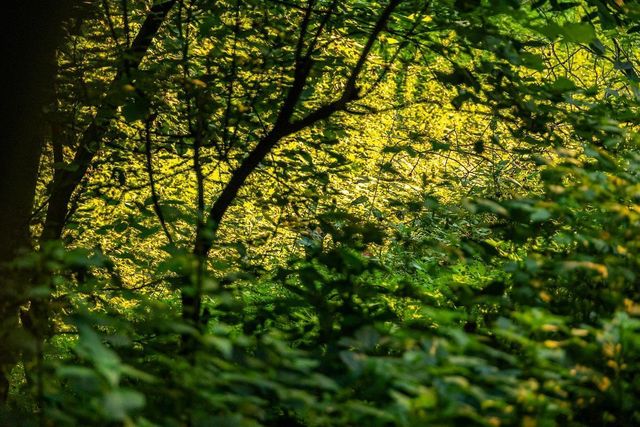 N34701 County Road S, Preston Twp, WI 54616