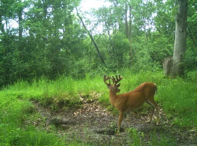 N34701 County Road S, Preston Twp, WI 54616