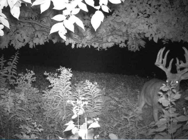 N34701 County Road S, Preston Twp, WI 54616