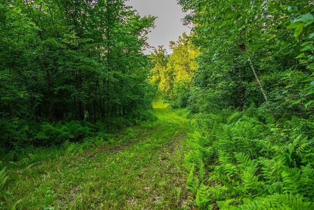 N34701 County Road S, Preston Twp, WI 54616