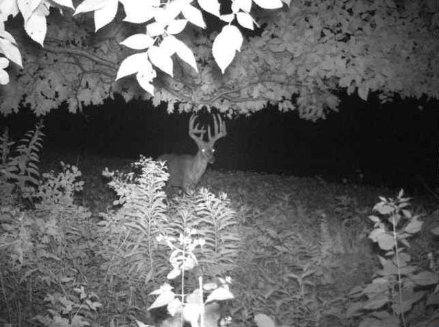 N34701 County Road S, Preston Twp, WI 54616