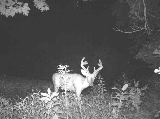 N34701 County Road S, Preston Twp, WI 54616