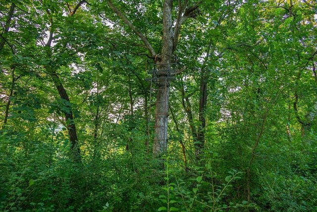 N34701 County Road S, Preston Twp, WI 54616