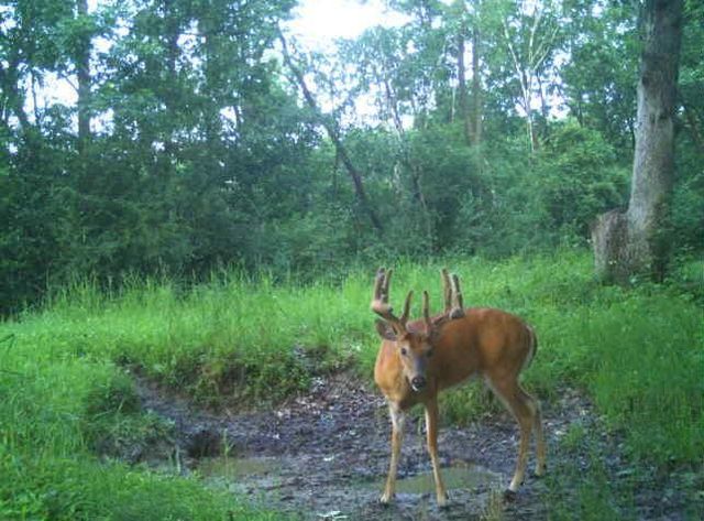 N34701 County Road S, Preston Twp, WI 54616