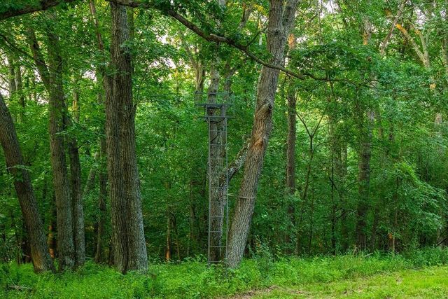 N34701 County Road S, Preston Twp, WI 54616