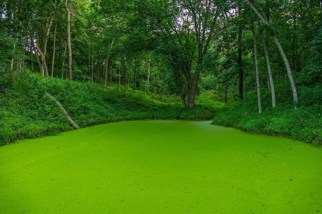 N34701 County Road S, Preston Twp, WI 54616