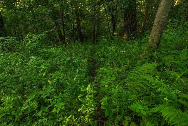 N34701 County Road S, Preston Twp, WI 54616