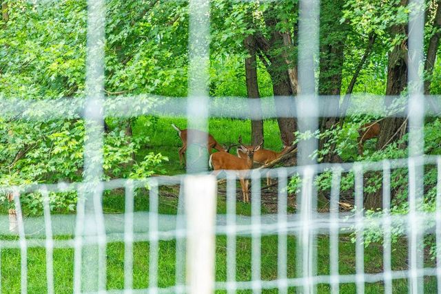 N34701 County Road S, Preston Twp, WI 54616