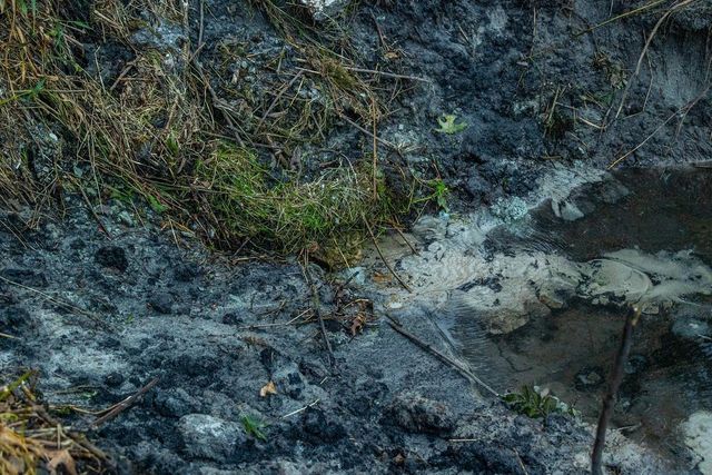 N34701 County Road S, Preston Twp, WI 54616