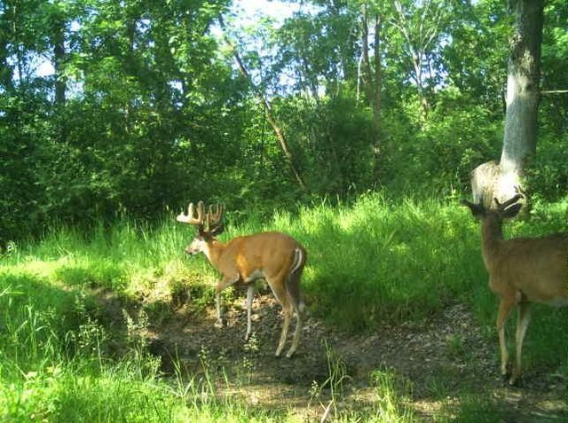 N34701 County Road S, Preston Twp, WI 54616