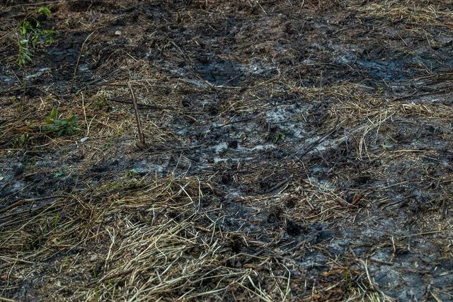 N34701 County Road S, Preston Twp, WI 54616