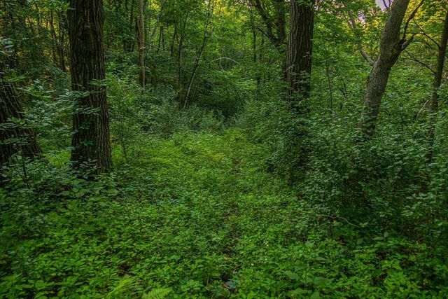 N34701 County Road S, Preston Twp, WI 54616