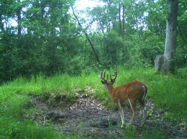 N34701 County Road S, Preston Twp, WI 54616