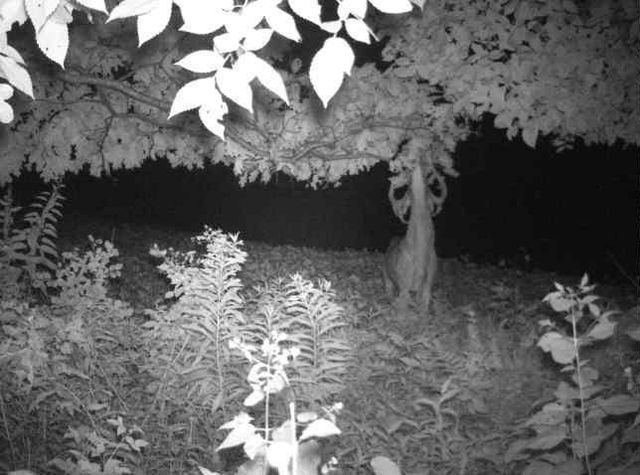 N34701 County Road S, Preston Twp, WI 54616