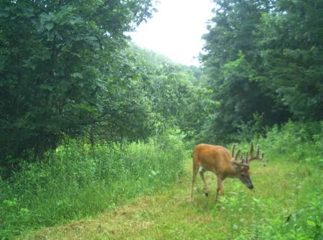 N34701 County Road S, Preston Twp, WI 54616