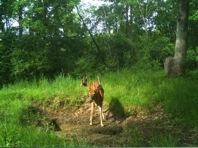 N34701 County Road S, Preston Twp, WI 54616