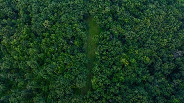 N34701 County Road S, Preston Twp, WI 54616