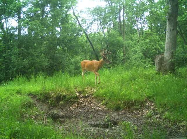 N34701 County Road S, Preston Twp, WI 54616