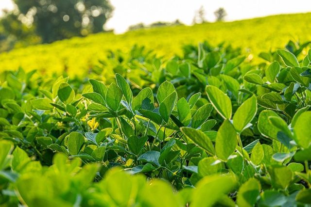 N34701 County Road S, Preston Twp, WI 54616