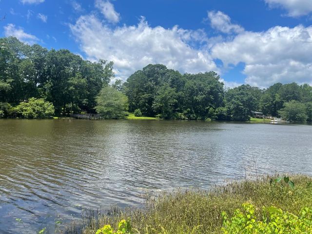 49 Lake Court, Ellerslie, GA 31807