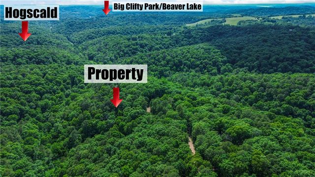 55 CR 1081, Eureka Springs, AR 72632