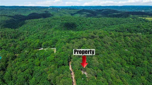 55 CR 1081, Eureka Springs, AR 72632