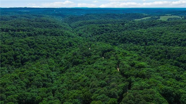 55 CR 1081, Eureka Springs, AR 72632