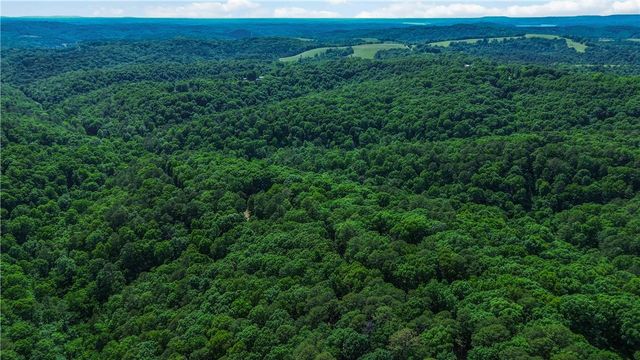 55 CR 1081, Eureka Springs, AR 72632