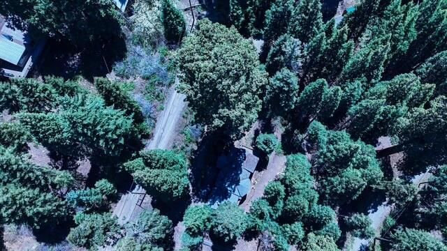 54838 Ponderosa Drive, Springville, CA 93265