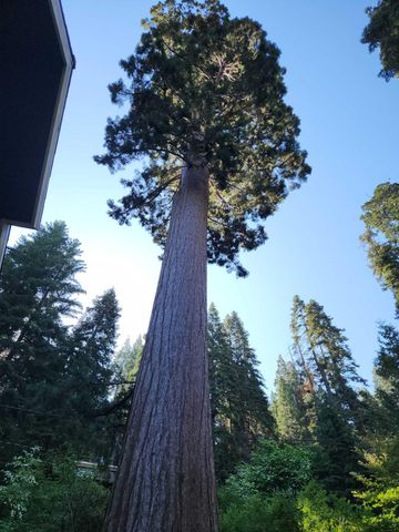 54838 Ponderosa Drive, Springville, CA 93265