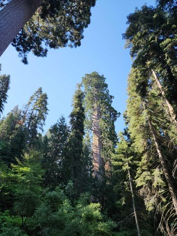 54838 Ponderosa Drive, Springville, CA 93265