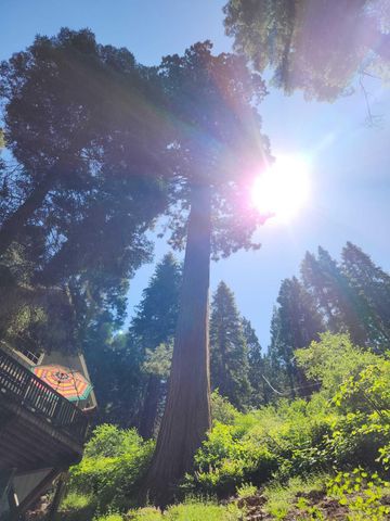 54838 Ponderosa Drive, Springville, CA 93265