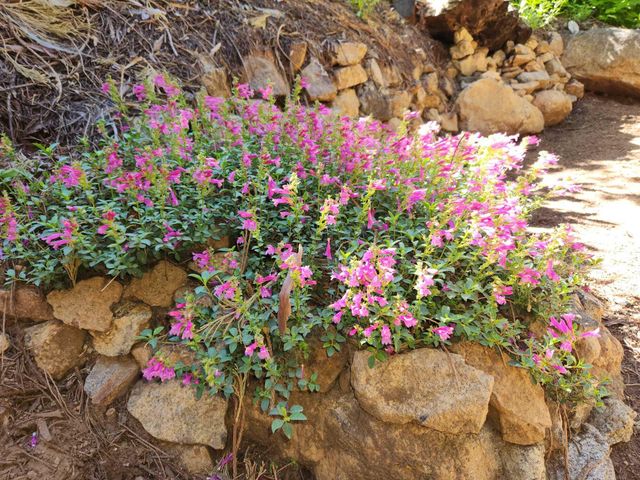 54838 Ponderosa Drive, Springville, CA 93265