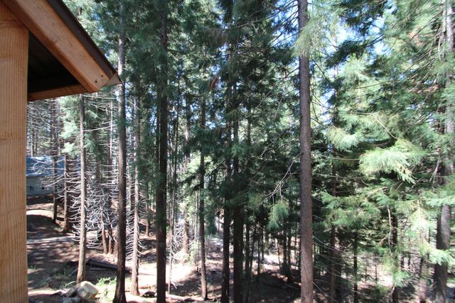 54838 Ponderosa Drive, Springville, CA 93265