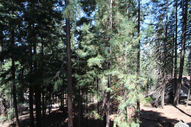 54838 Ponderosa Drive, Springville, CA 93265